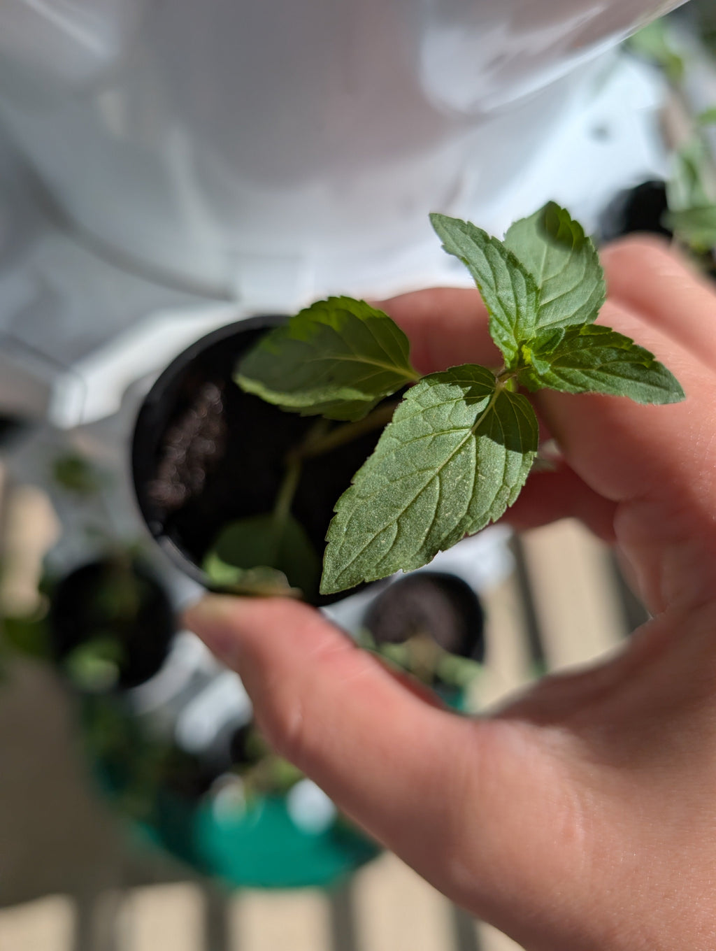 V-GRO™ 5-Tier Growing Tower